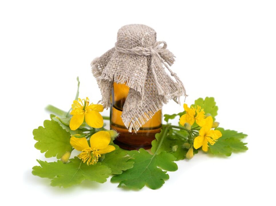 Infusión de celidonia para o pé de atleta